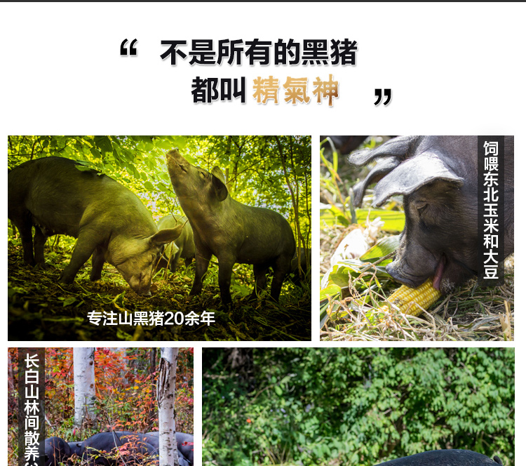 产地图片